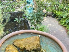 -肴约·花园式餐厅(湖里店)