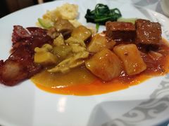 -虹桥机场国航贵宾室v8