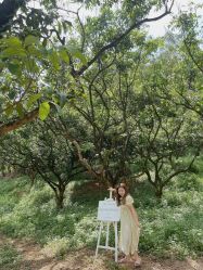 -花漾摄影优选工作室(东莞原创作品店)