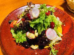 田园时蔬沙拉-布拉格餐厅· 中欧捷克菜(全国首店)