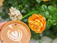 -Beans Solo豆号咖啡(百家湖花园店)