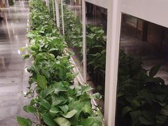 -一澜江宴·江景地标楚菜(江滩公园店)