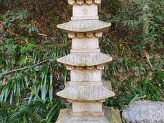 -杭州植物园