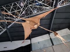 -湖南省地质博物馆