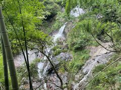 -东天目山风景区