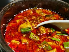 -陈麻婆豆腐总店