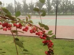 -五环公园