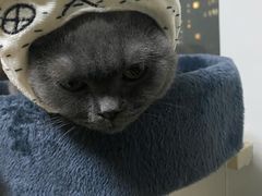 -宠颐生动物医院·心脏科·保险定点(锦阳分院)