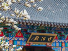-护国法轮寺