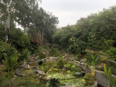 -南宁荔园维景国际酒店·荔园中餐厅