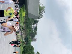 -柳州白莲洞洞穴科学博物馆