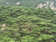 -黄山玉屏楼宾馆餐厅