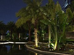 -大堂吧·雪茄吧·威士忌·下午茶(深圳机场希尔顿逸林酒店)