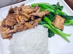 云耳冬菇蒸鸡腿肉-都城快餐(花城店)