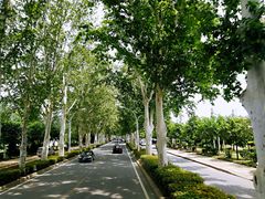 -洛阳古墓博物馆