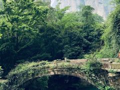 -雁荡山风景名胜区