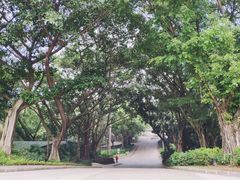 -麓湖高尔夫球俱乐部