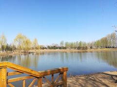 -东郊湿地公园