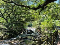 -广州市石门国家森林公园