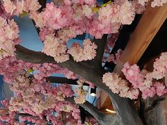 -食悦江南·淮扬菜·烤鸭(亚运村·惠新店)