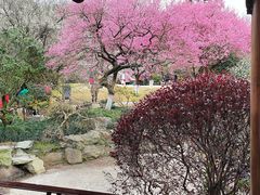 -杭州植物园