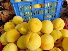 -盒马鲜生(岭南新世界店)