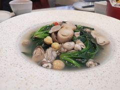 -木棉花开(中心城店)