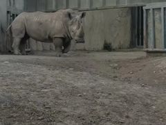 -新疆天山野生动物园