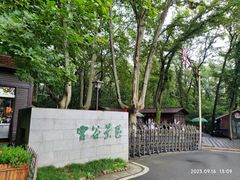 -灵谷景区