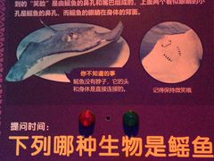 -哈尔滨波塞冬海底世界