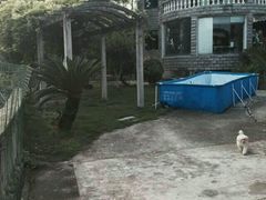 -鑫艺宠物美容培训学校