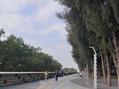 -宝安西湾红树林湿地公园