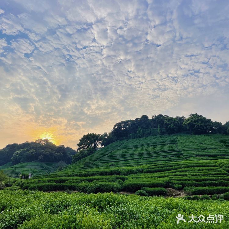 云径天竹🍃藏在山里的治愈咖啡馆🍵