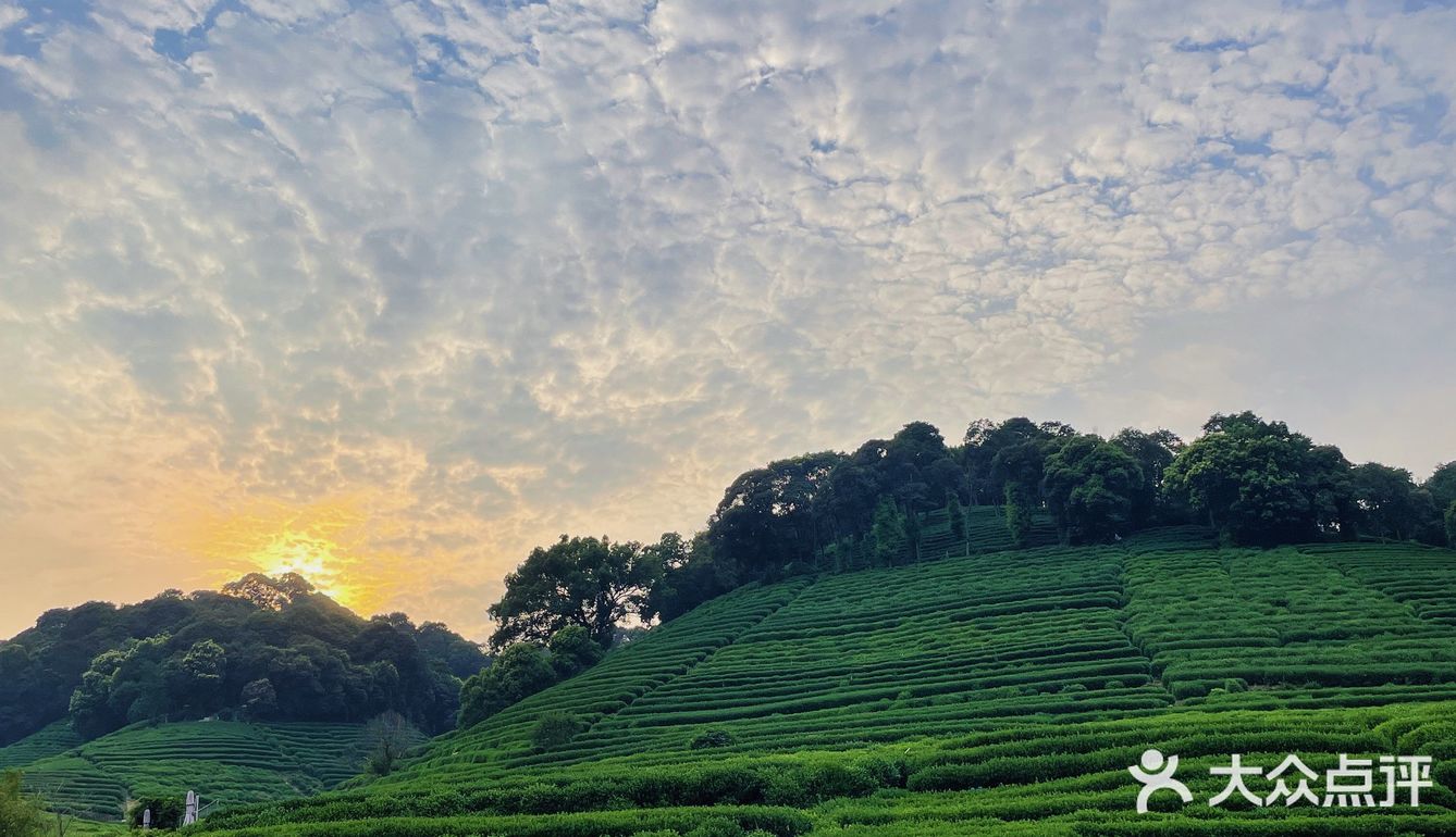 云径天竹🍃藏在山里的治愈咖啡馆🍵