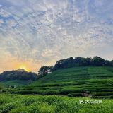 云径天竹🍃藏在山里的治愈咖啡馆🍵