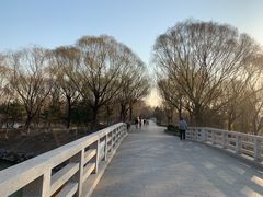 -大兴滨河森林公园