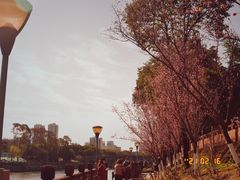 -望江楼公园