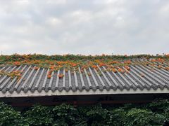 -海珠湖公园