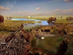 -陕西自然博物馆