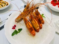 老酒糟大虾-南麓·浙里(外滩店)
