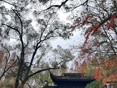 -虎跑公园