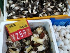 -三旗百汇商品城