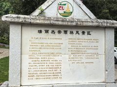 -莫里热带雨林景区