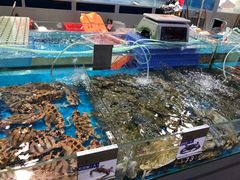 -清水湾3号(东方小周海鲜店)