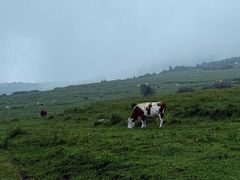 -灵山