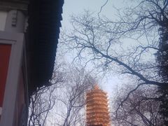 -博雅塔