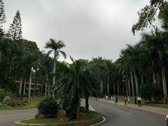 -深圳仙湖植物园