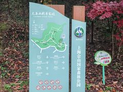 -上海佘山国家森林公园天马山园