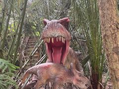-呀路古热带植物园
