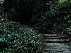-青城山